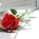 thumbnail image 2 of Injueey 10 Uds flor de Rosa Artificial decoración de simulación hogar Oficina boda flor de tela Flores artificiales rojo Injueey HA8916-04B, 2 of 6