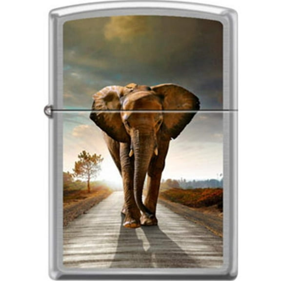 Zippo Lighter - Elephant