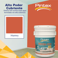 thumbnail image 2 of PINTEX Pintura para Pared Vinil-Acrílica | Fácil Aplicación, Alta Cobertura y Resistente a la Lluvia | Pintura Acrilica para Interiores Exteriores Acabado Mate | 19 Litros | Color Aproximado al Real, 2 of 8