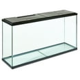 thumbnail image 3 of Aqua Culture 55-Gallon Glass Aquarium Starter Kit, 3 of 7