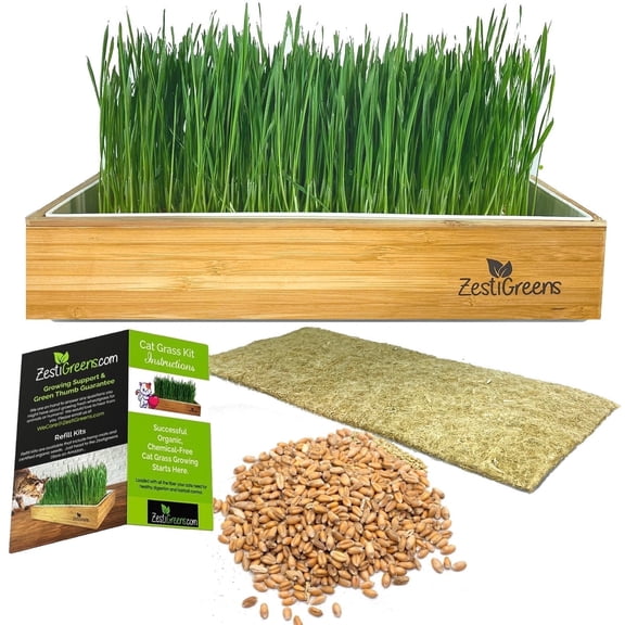 ZestiGreens Self-Watering Cat Grass Kit – Easiest Way to Grow Fresh Cat Grass