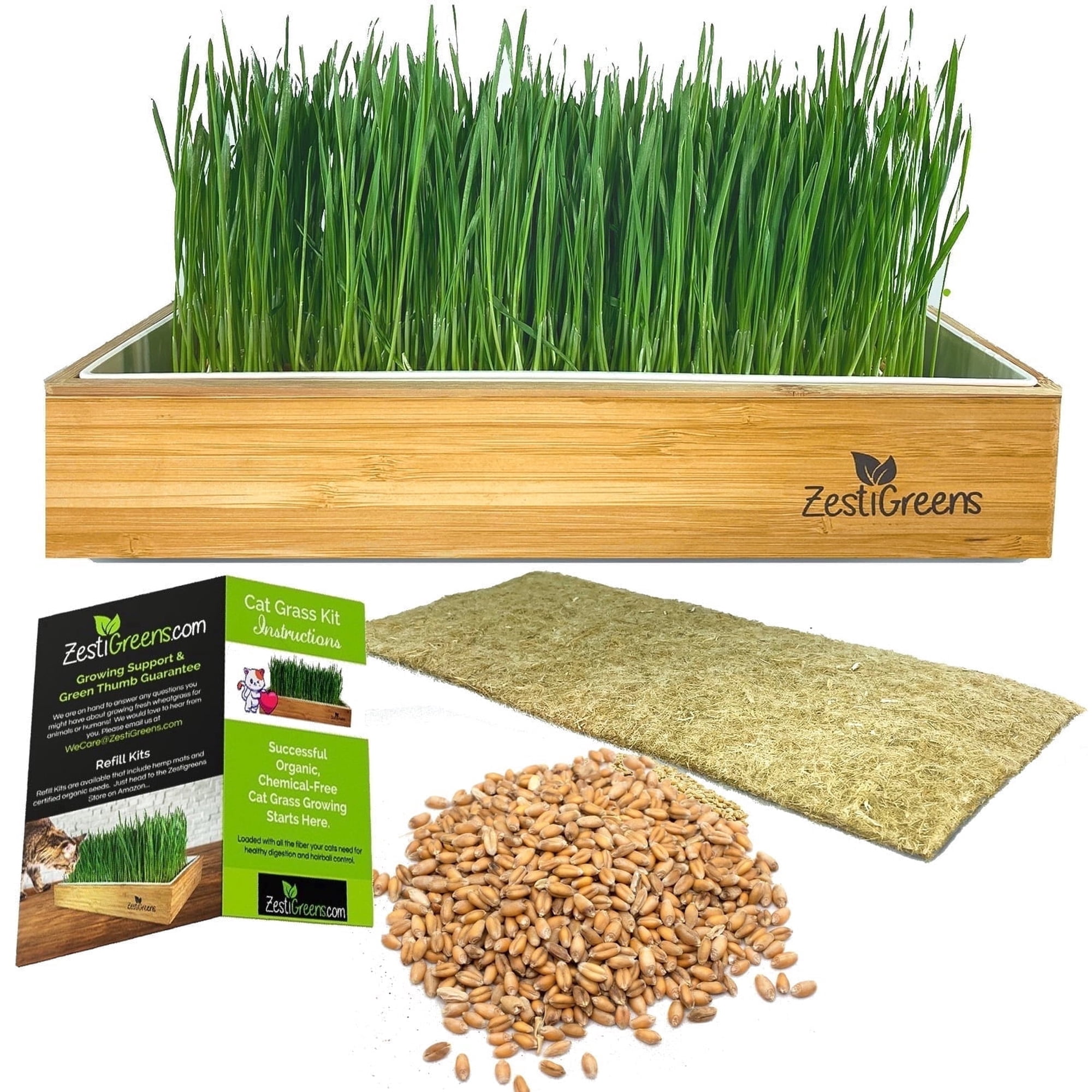 ZestiGreens Self-Watering Cat Grass Kit – Easiest Way to Grow Fresh Cat Grass