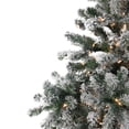 thumbnail image 2 of Northlight 6.5' Prelit Artificial Christmas Tree Flocked Natural Emerald - Clear Lights, 2 of 3