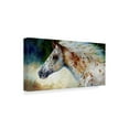 thumbnail image 2 of Trademark Fine Art 'Appaloosa Spirit' Canvas Art by Marcia Baldwin, 2 of 3