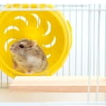 thumbnail image 3 of Guinea Pig Toys Hamster Accessories for Cages Squirrel Climbing Board Perch Stand for Chinchilla Hamster Jumping Platform Shelf Wood, 3 of 6