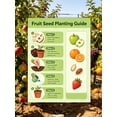 thumbnail image 6 of RitualBoxy 12 Pack Fruits Seeds Variety Pack (780+ Seeds) Non-GMO - Seeds for Hydroponic - Home Garden Gift for Planting, 6 of 7