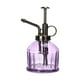 thumbnail image 5 of Monstrate Regadera de flores Distribución uniforme del agua para plantas saludables Regadera pequeña Botella de spray de vidrio púrpura púrpura 2Conjunto, 5 of 6