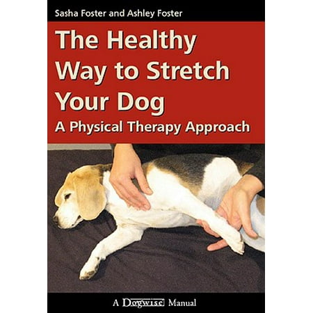 The Healthy Way to Stretch Your Dog : A Physical Therapy (Best Way To Approach A Dog)