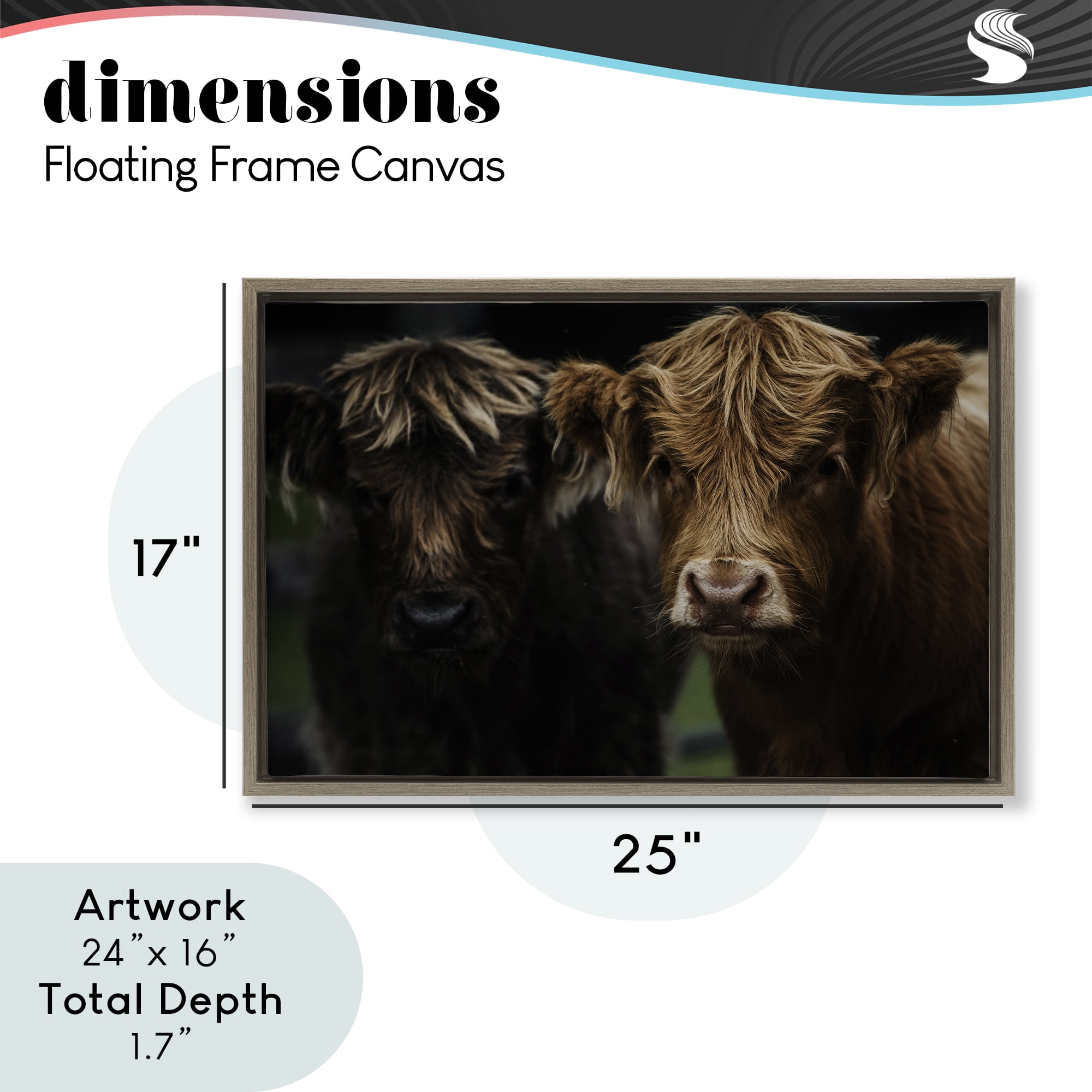 Cow Faces Highland Pair Brown Framed Floater Canvas Wall Art, design by Amy Carroll
