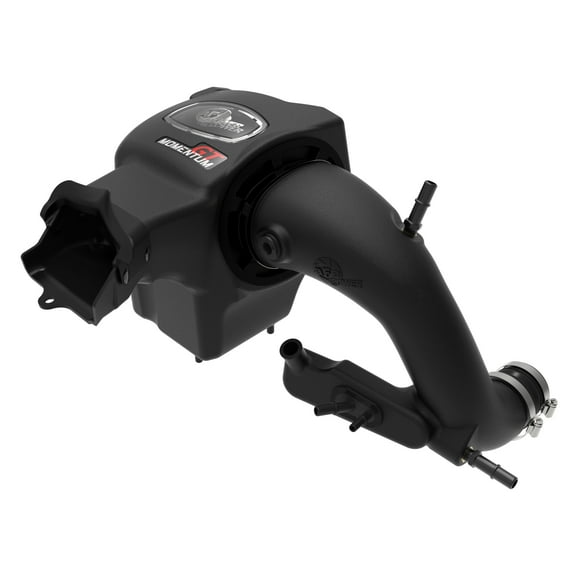 Momentum GT Cold Air Intake System w/ Pro DRY S Filter