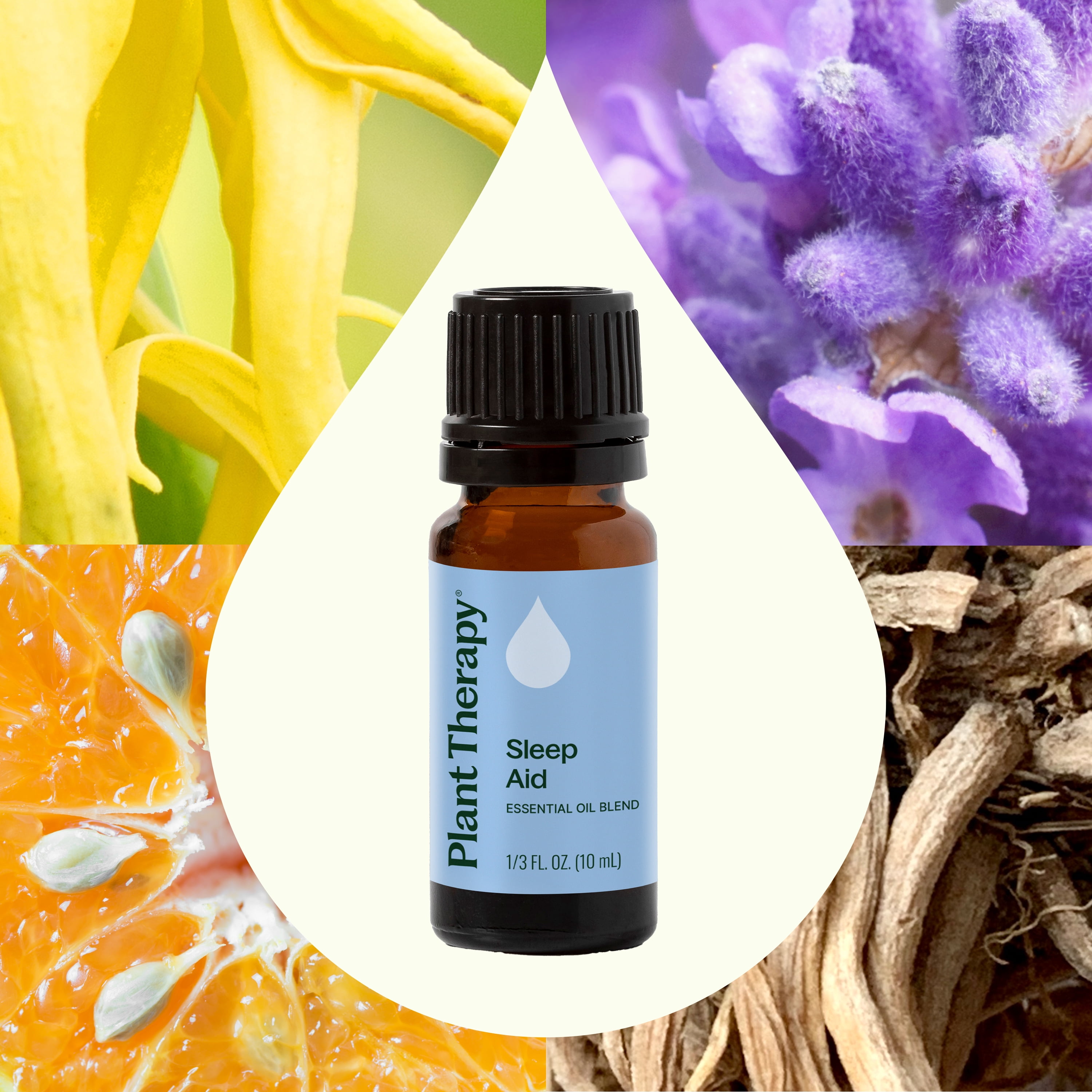 Plant Therapy Sleep Aid Essential Oil Blend 10 mL (1/3 oz) Calming & Sleep Blend 100% Pure, Undiluted, Natural Aromatherapy