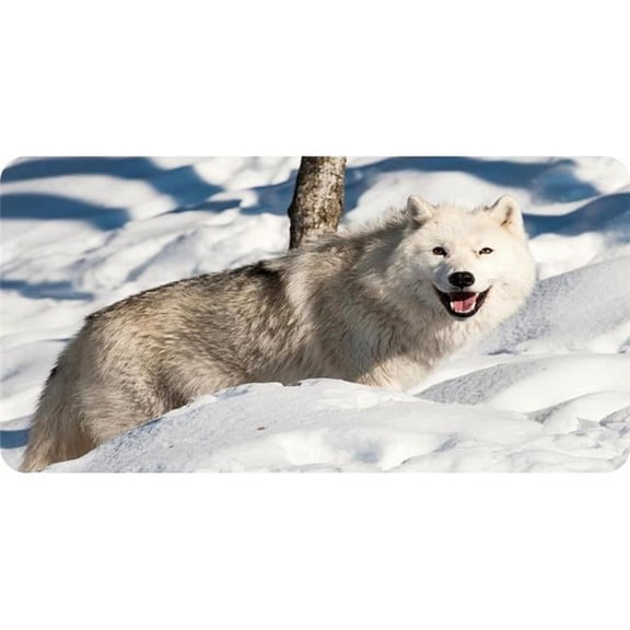 212 Main LPO6735 6 x 12 in. Wolf in Snow Photo License Plate