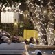 thumbnail image 3 of Cadena de Luces Exteriores Twinkle Star 200 LED 66 Pies, 3 of 5