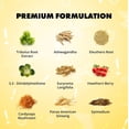 thumbnail image 3 of Sculpt Nation Tribulus Terrestris Supplement with Ashwagandha, Tribulus Extract and American Ginseng Root Gluten Free 2 Pack 60 Capsules, 3 of 4