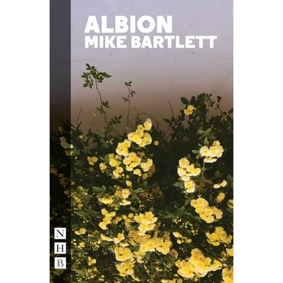 Albion, (Paperback)