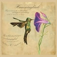 thumbnail image 2 of Kuco 15x15 Black Ornate Wood Framed with Double Matting Museum Art Print Titled - Hummingbird Illustration, 2 of 4