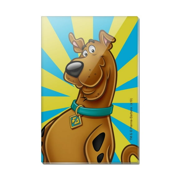 Scooby-Doo Character Rectangle Acrylic Fridge Refrigerator Magnet