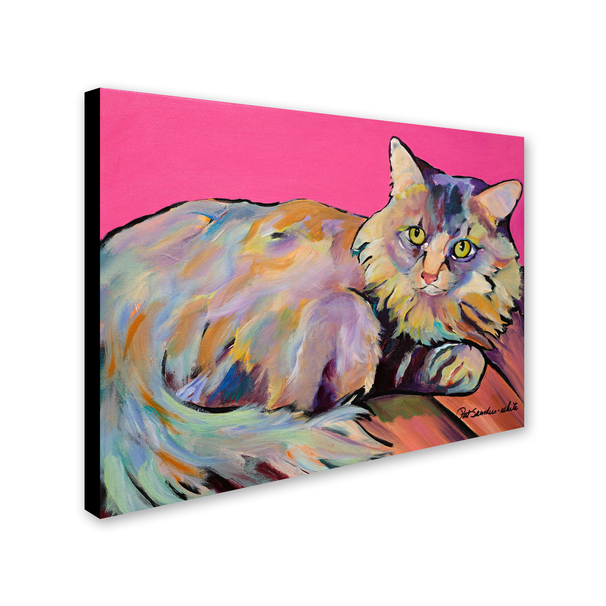 Trademark Fine Art "Catatonic" Canvas Art by Pat Saunders