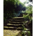 thumbnail image 2 of Posterazzi DPI1810343 Glenveagh Castle Co Donegal Ireland - Moss Covered Staircase Poster Print by The Irish Image Collection, 13 x 16, 2 of 4