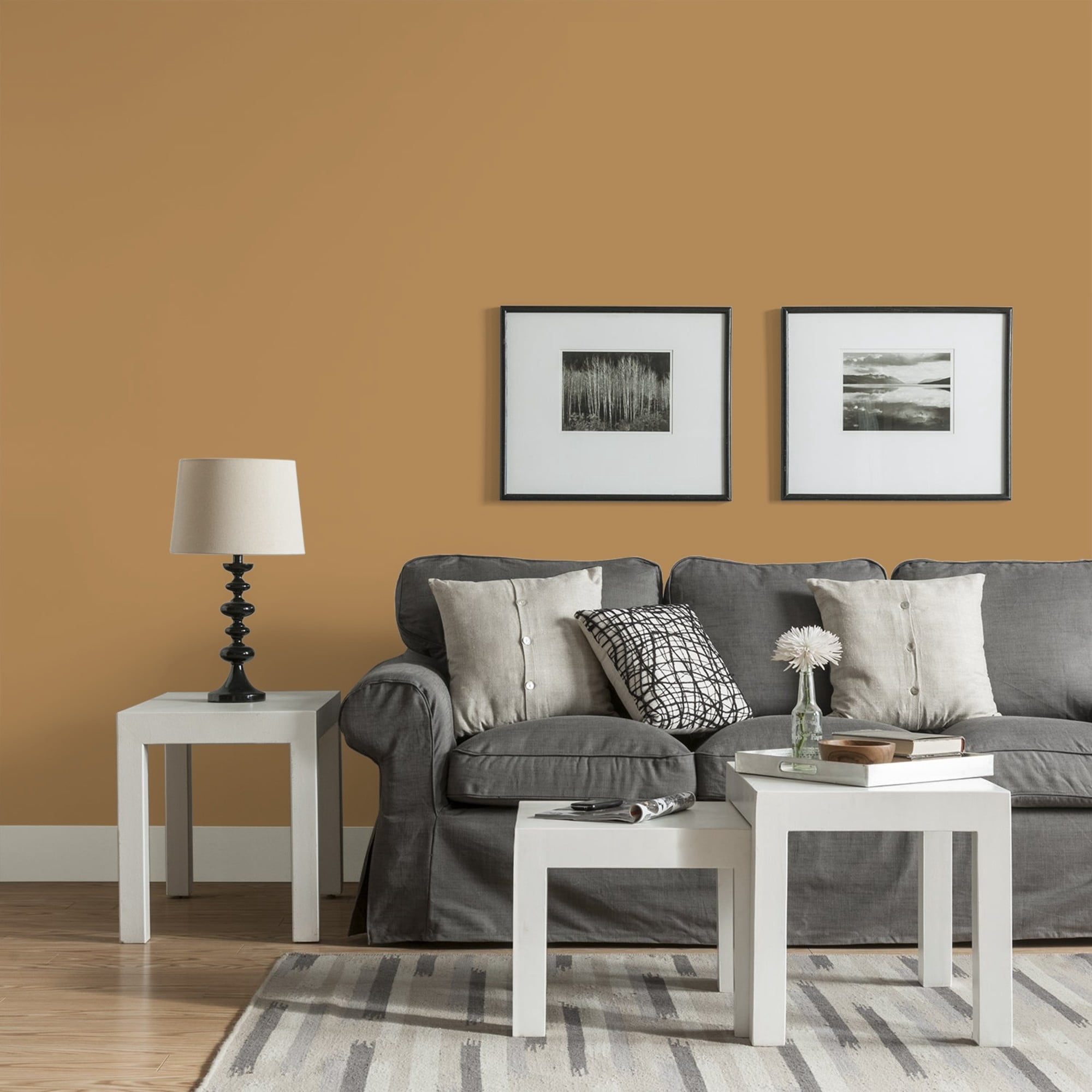 Glidden Spred Allegro / Tan, Eggshell Interior Paint with Primer, 1 Gallon