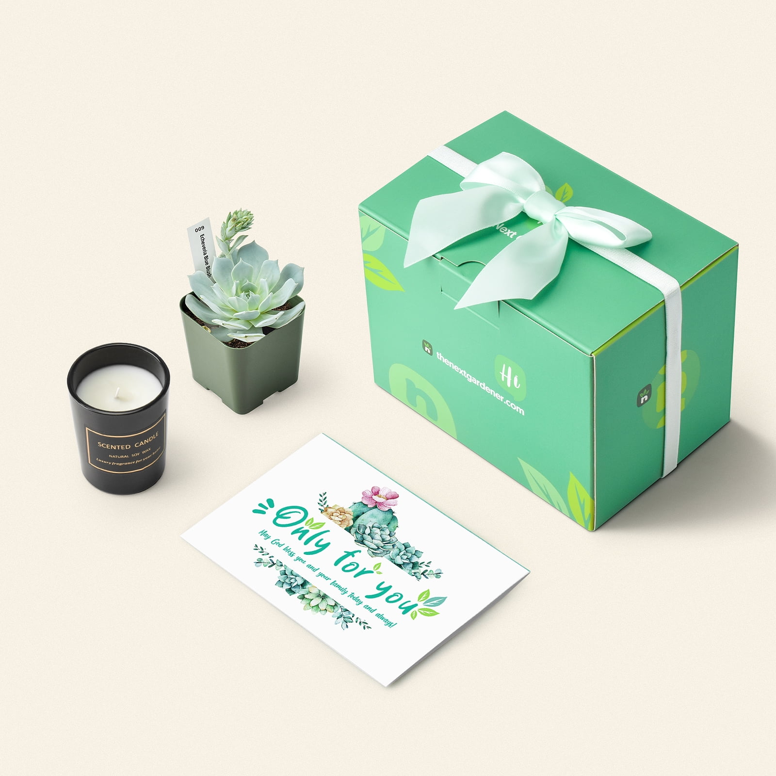 Gift for Her Candle Gift Box Happy Birthday Gift Box Friendship Gift Succulent Gift Box Care Package Gift for Friend Tumbler Gift Box