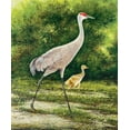 thumbnail image 2 of Nawrocke, Bruce 12x14 Gold Ornate Wood Framed with Double Matting Museum Art Print Titled - Walking From A Distance, 2 of 4
