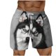 thumbnail image 2 of Pantalones Cortos para Hombre de Cintura Elástica con Bolsillos Pantalones de Playa de Impresión Casual, Poliéster Ligero de Moda para la Primavera Verano Al Aire Libre Y el Uso Diario, 2 of 5