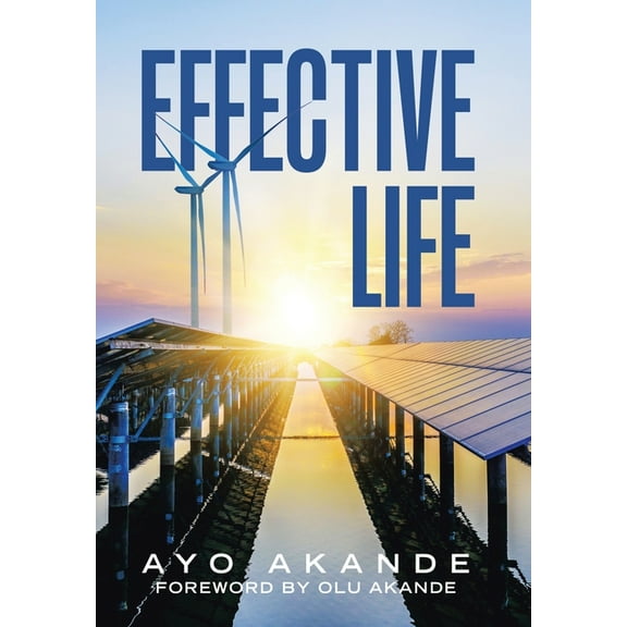 Effective Life (Hardcover)
