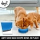thumbnail image 3 of Comedero Lento Dogit Azul Anti-Gulping S para Perros, 3 of 7