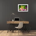 thumbnail image 3 of Jaynes Gallery 24x17 White Modern Wood Framed Museum Art Print Titled - USA-Colorado-Fort Collins Eastern tiger swallowtail on petunia flowers, 3 of 4