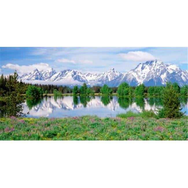 Biggies WMMFW54 Wall Murals Mountain Flowers Medium
