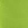 Safety Green