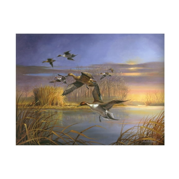 R.J. McDonald 'Pintail Magic' Canvas Art