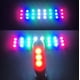 thumbnail image 3 of Pulsera de luz LED recargable, pulsera de fiesta de carnaval, pulsera reflectante LED para correr, pulsera de luz LED de seguridad con tira intermitente ajustable para niños o adultos, 2 piezas (blanco) oso de fresa Electrónica, 3 of 5