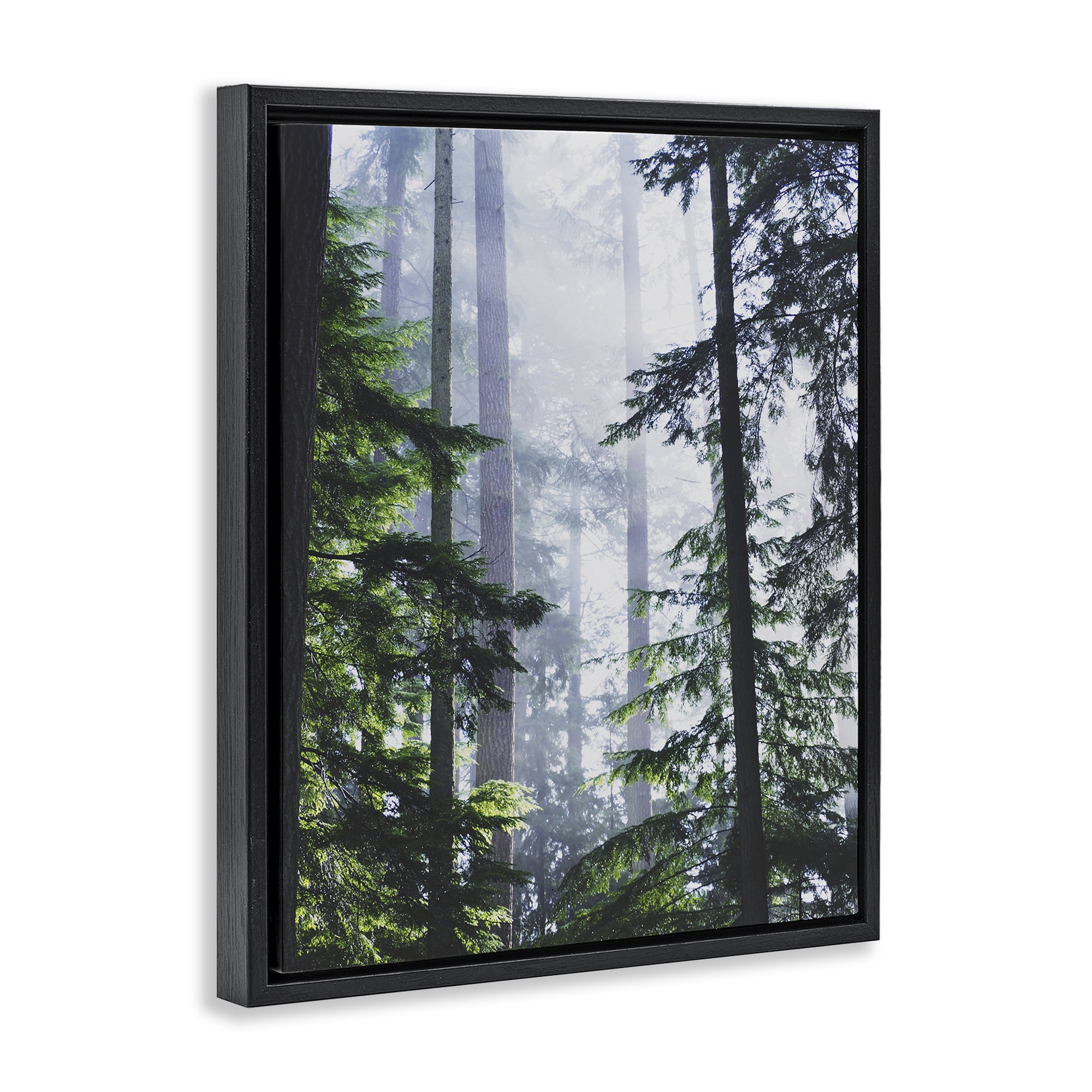Stupell Industries Foggy Forest View Landscape Photography Black Floater Framed Art Print Wall Art, 25 x 31