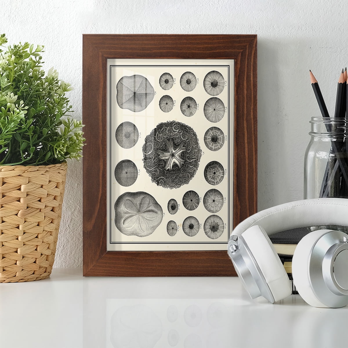 Aegean Collection I -Framed Print w/glass-Chestnut