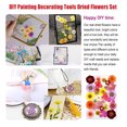 thumbnail image 4 of Dried Flowers Set Scrapbooking Decorating DIY Painting Decorating Real Flower Decal Handicraft Filling Pressed Specimen Label for Makeup Phone Use Type 17, 4 of 6