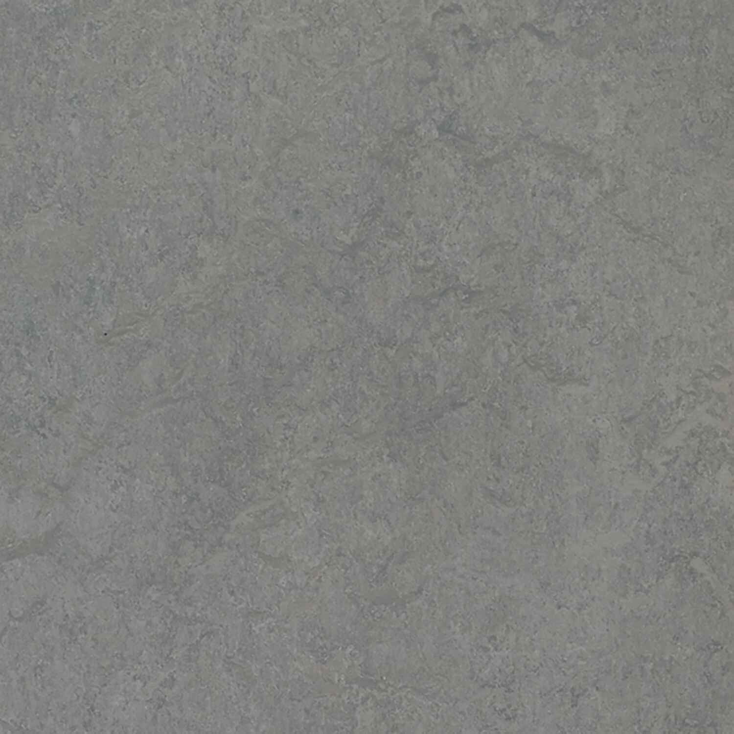 Forbo Flooring Marmoleum Cinch Loc Seal 11.81" x 35.43" Laminate Panel in Eternity 20.34 Sq ft