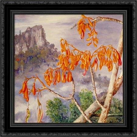 Limestone Mountains of Sarawak, Borneo 20x20 Black Ornate Wood Framed Canvas Art by North, Marianne