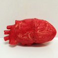 thumbnail image 4 of Corazón humano falso de látex, tamaño natural, accesorios de terror sangriento para Halloween, 4 of 6