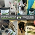 thumbnail image 5 of WINPRO Hip & Joint Supplement for Dogs - Plasma Powered Soft Chews for Joint Health & Mobility – Fast-Acting with Collagen & Natural Ingredients for Dogs of All Breeds – 60 Chews, 5 of 10