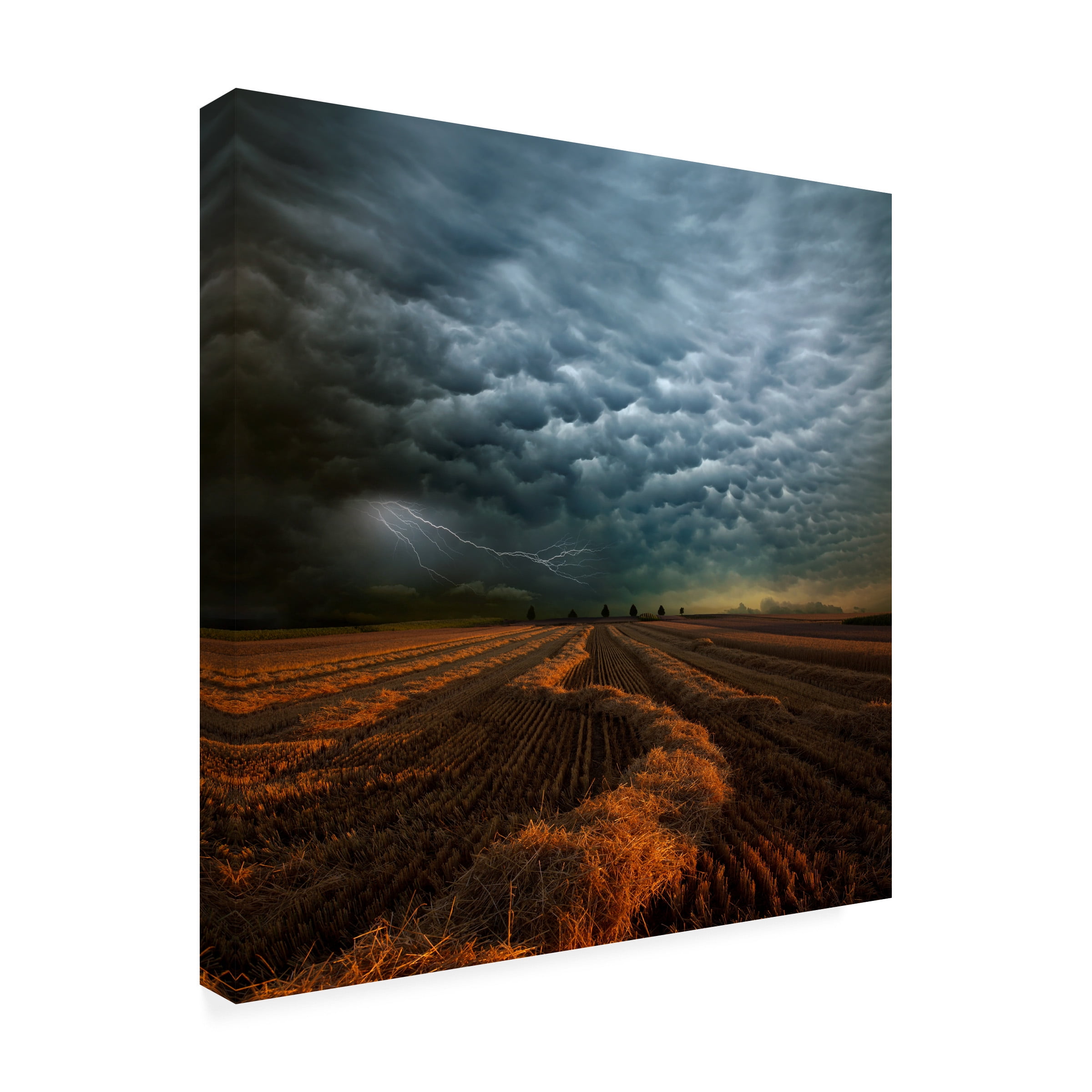 Franz Schumacher 'Mammatus' Canvas Art