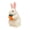 B, variant on A Cute Plush Bunny Rabbit With Pineapple Stuffed Animal Soft Doll Easter Decoration Year Of The Rabbit Toy For Kids