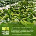 thumbnail image 5 of Premium 40 Soursop Graviola Leaf Tea Bags, 100% Natural and Pure from Soursop Leaves, Handmade, Made With Natural Materials-Corn Fiber Tea Bag, Sugar/ Caffeine/ Gluten Free, Hoja Guanabana Tea, 5 of 12