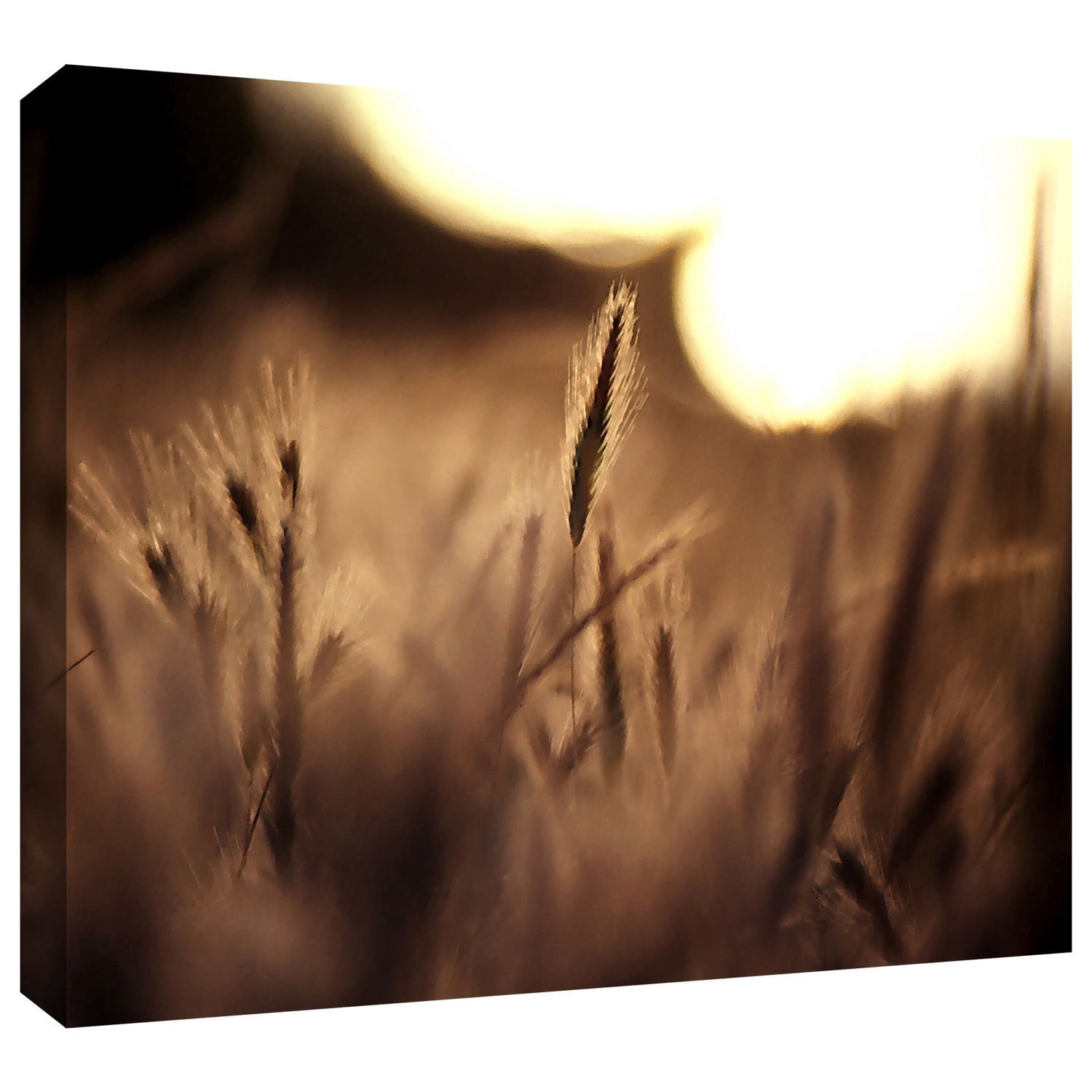 Dean Uhlinger "Summer Field" Gallery-Wrapped Canvas