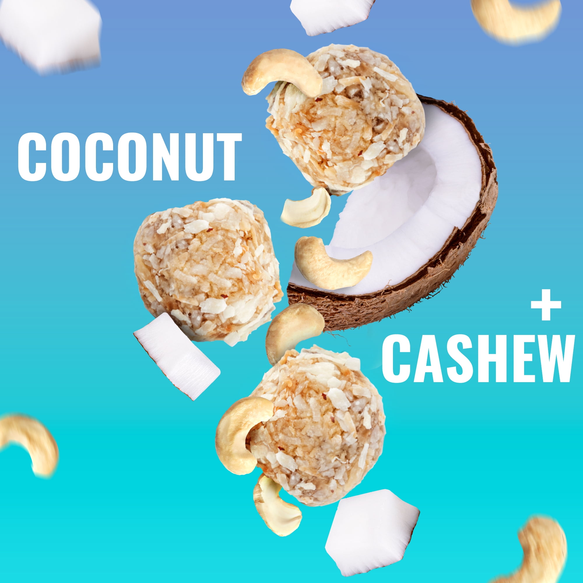 The Gluten Free Brothers Coconut Cashew Bites Protein Balls, Non GMO, Vegan, 6 Count, 4 oz