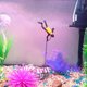 thumbnail image 5 of pstuiky Decoración para acuario con peces del tesoro, decoración para acuario con temática de caza del tesoro, acuario con temática de hombre rana, paisajismo para acuario, cofre del tesoro del buzo, 5 of 6