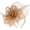 Gold, variant on Flower Mesh Fascinator Hat, Hair Clip Headwear, 7.87x10.63inch