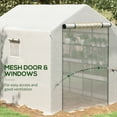 thumbnail image 4 of Outsunny 8' x 6' x 7' Walk-in Greenhouse, 2-Tier Shelf Hot House, Roll Up Zipper Door, UV protective for Flowers, Herbs, Vegetables, White, 4 of 9