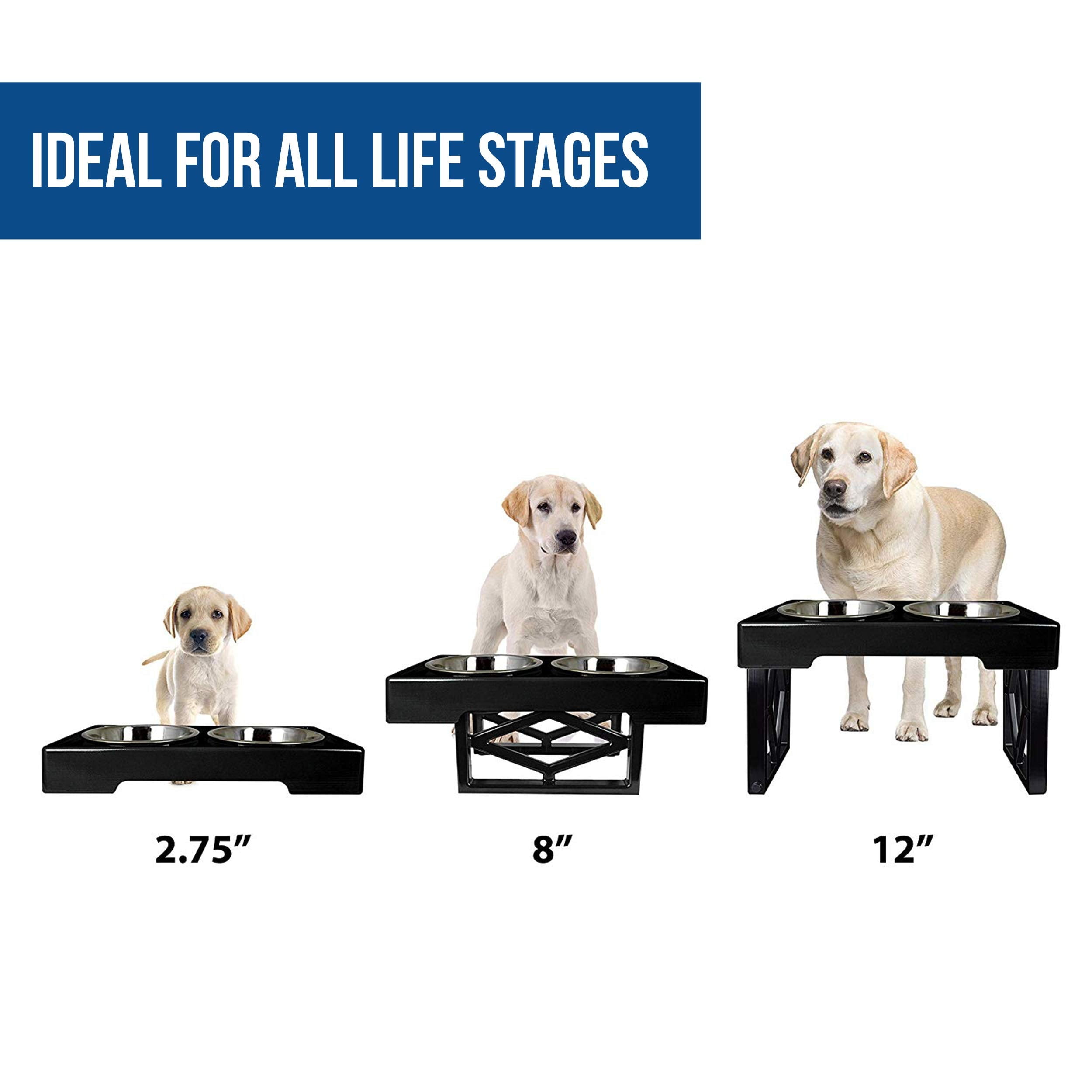 odriew elevated dog bowls, 5 adjustable heights raised dog bowl